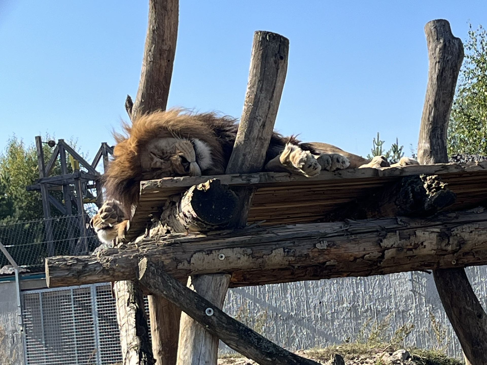 Zoo Kontakt - Liptovský Mikuláš, Slovakia