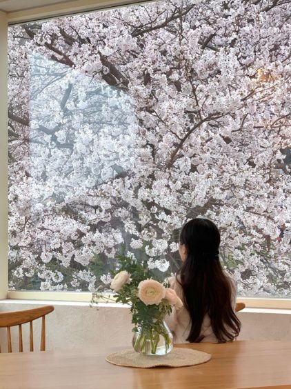 봄에 꼭 가야할 브런치카페 겸 레스토랑 세인즈가든! 🌸💗