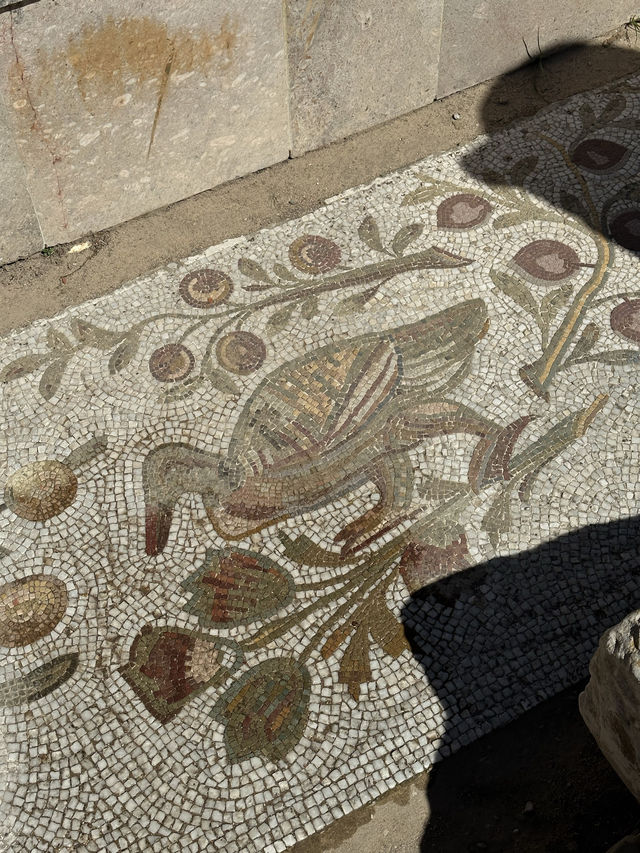 📍Carthage, Tunis 🏛️