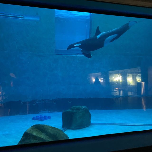 Aquarium in Moscow