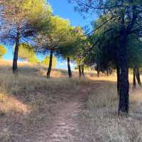 Exploring the Forest Above Alameda del Parral in Segovia 🌲