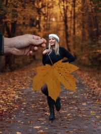가을의 뉘른베르크 탐험 🍂