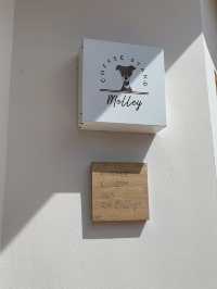 Molley coffee stand  คาเฟ่หัวหินแสนน่ารัก 🤎