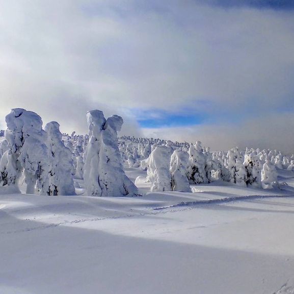 The splendid view of the snow 