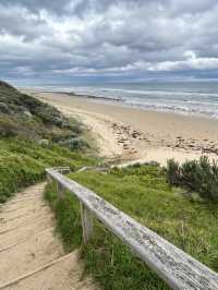 🌊🚗 The Ultimate Great Ocean Road Adventure: Wildlife & Iconic Views 🦘🐨