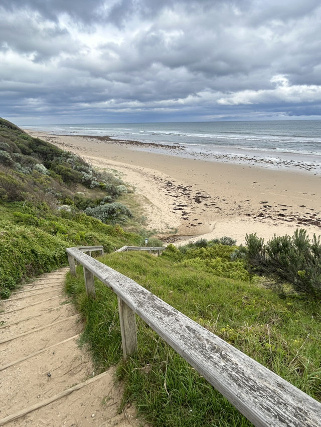 🌊🚗 The Ultimate Great Ocean Road Adventure: Wildlife & Iconic Views 🦘🐨