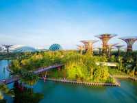 Gardens by the Bay​: Singapore's iconic planet!