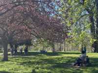 Escape to Royal Green: A Stroll Through Kensington Gardens