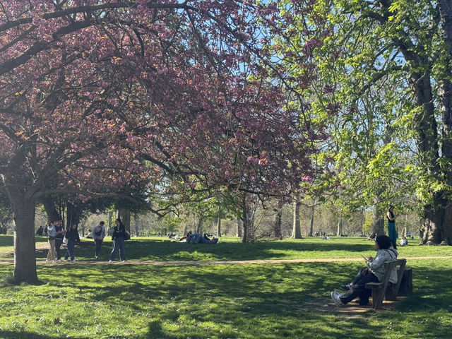 Escape to Royal Green: A Stroll Through Kensington Gardens