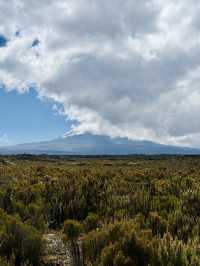 Climbing Mount Kilimanjaro – Shira Cathedral 🗻