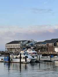 San Francisco on a Budget: Fog, Views, and Free Fun by the Bay