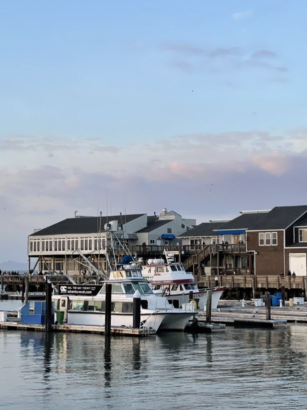 San Francisco on a Budget: Fog, Views, and Free Fun by the Bay