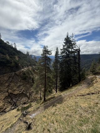 Herzogsstand Hiking Guide 🗻