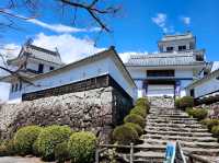 Gujo Hachiman: a charming little scenic town without crowds