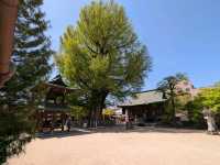 1 day in Takayama