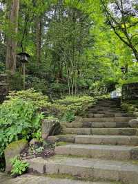 Nikkō: Ancient Temples and Mountain Air Just a Few Hours from Tokyo