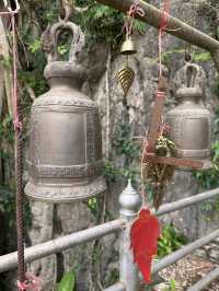 Hidden gem: tiger temple in Chumpon