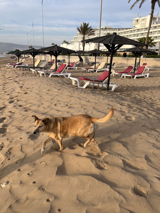 Agadir Morocco