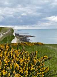 Seven Sisters Hike Seaford to Eastbourne