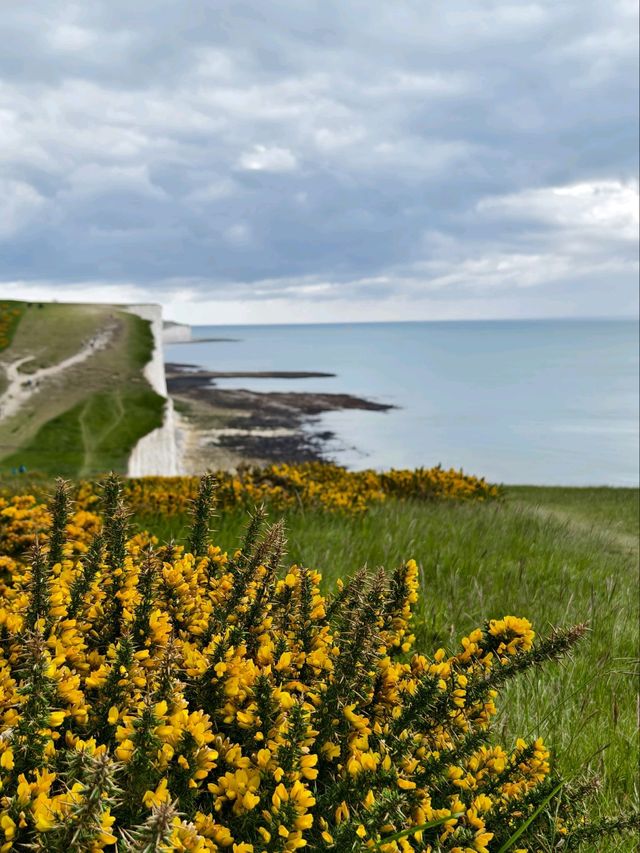 Seven Sisters Hike Seaford to Eastbourne
