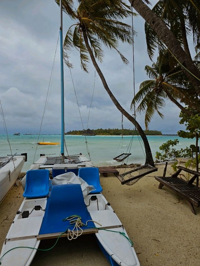 🌊 Dhiffushi Island, Maldives – A Local Island Paradise Experience