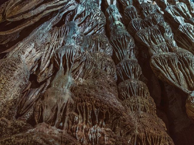 Explore the Underground Wonders of Phong Nha and Tien Son Caves in Vietnam