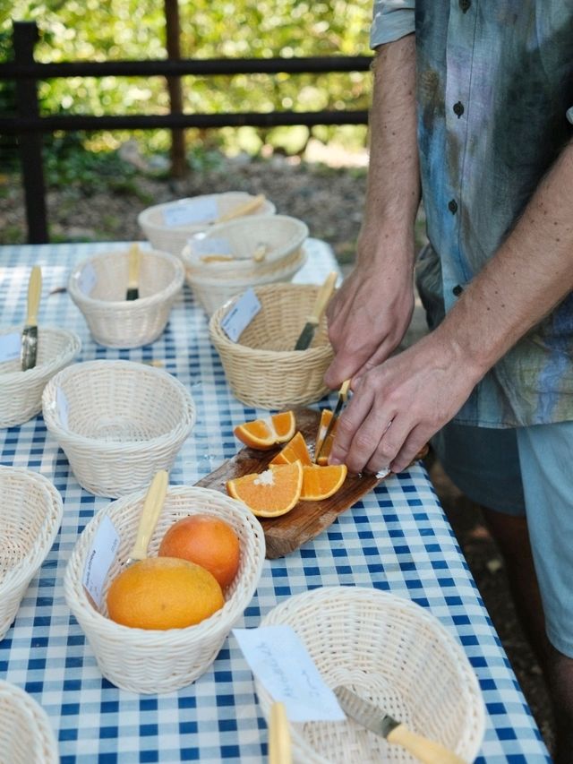 A Citrus Escape in Sóller, Mallorca 🍋🌿