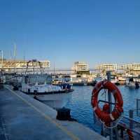 The Mediterranean Charm: Why Cyprus feels like home 🇨🇾❤️