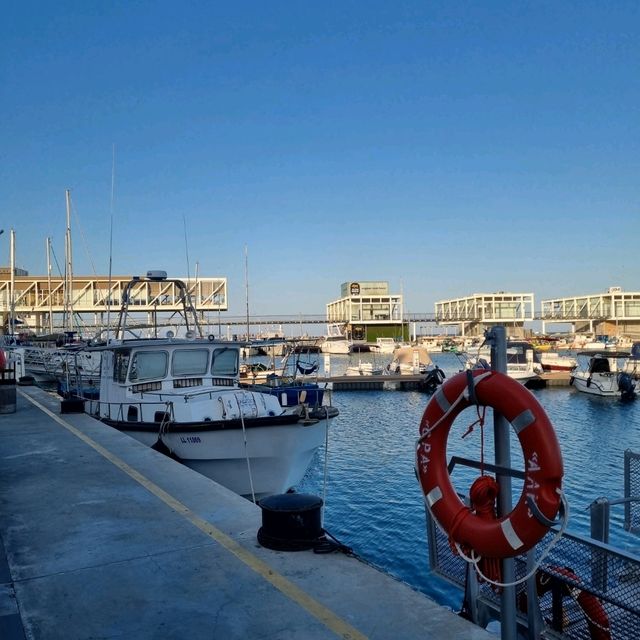 The Mediterranean Charm: Why Cyprus feels like home 🇨🇾❤️