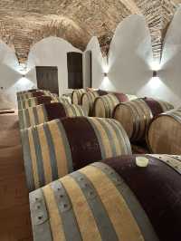 My wine tasting experience in Tuscany’s vineyard Castello Di Cacciano