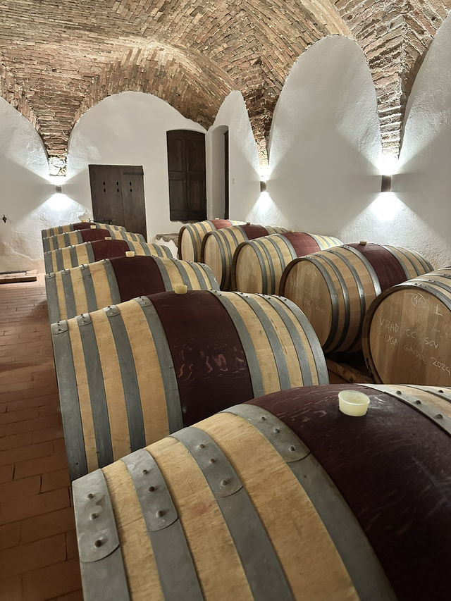 My wine tasting experience in Tuscany’s vineyard Castello Di Cacciano