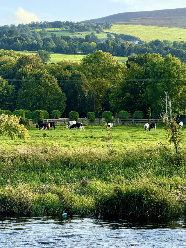 Country Stillness