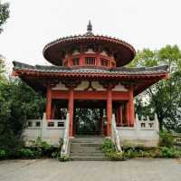 Tranquility Above Yushan – The Taoist Temple Experience ⛩️🌄