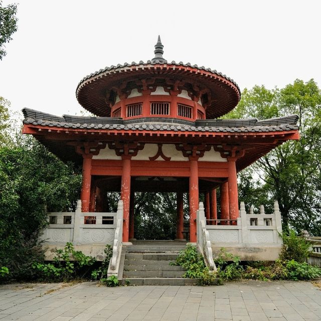Tranquility Above Yushan – The Taoist Temple Experience ⛩️🌄