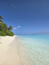 Maldives 🇲🇻 — Where Beauty Meets Opportunity