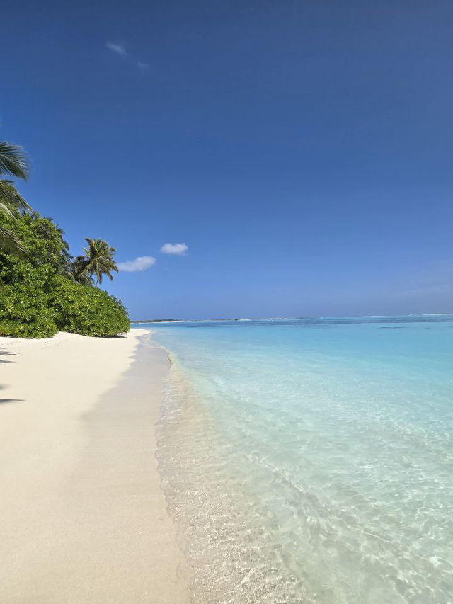 Maldives 🇲🇻 — Where Beauty Meets Opportunity Maldives 🇲🇻 — Where Beauty Meets Opportunity