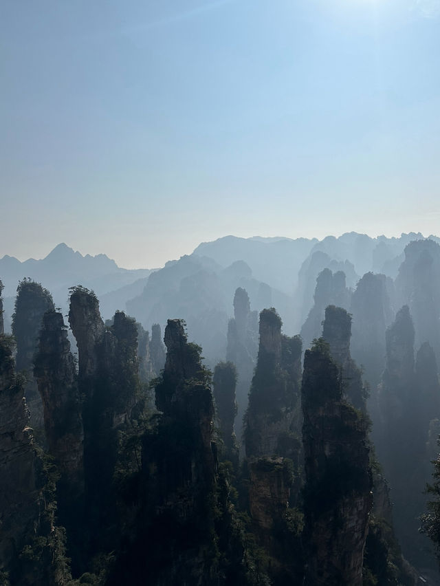 Путешествие в Чжанцзяцзе Путешествие в Чжанцзяцзе