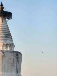 Гайд по Пекину: Аутентичные хутуны,Храм Белой Ступы и аптека