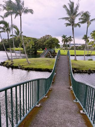 Pacific Paradigms: จิตวิญญาณแห่งฤดูใบไม้ผลิในโฮโนลูลูและฮิโล 🇺🇸