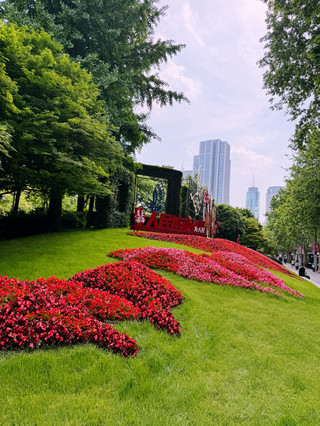 Biggest Shanghai Mistake First-Timers Make: Only Looking from the Outside! 🇨🇳