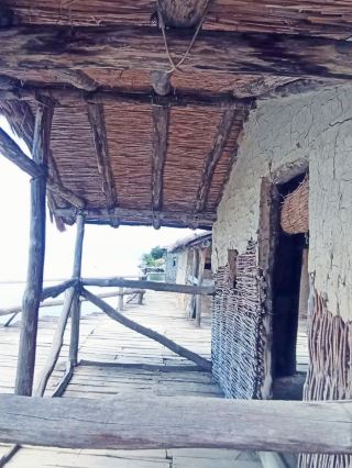 Diving Into Prehistoric Lake Living: Exploring the Bay of Bones Museum in Ohrid 🦴🏞️
