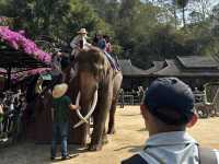 January in Xishuanbanna 