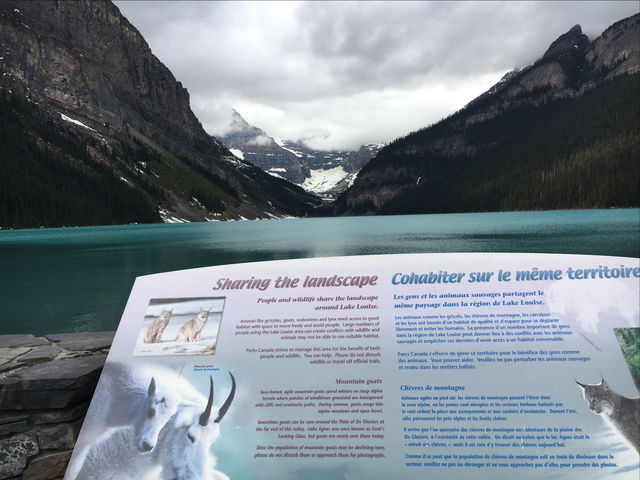 Unforgettable 🇨🇦Lake Louise