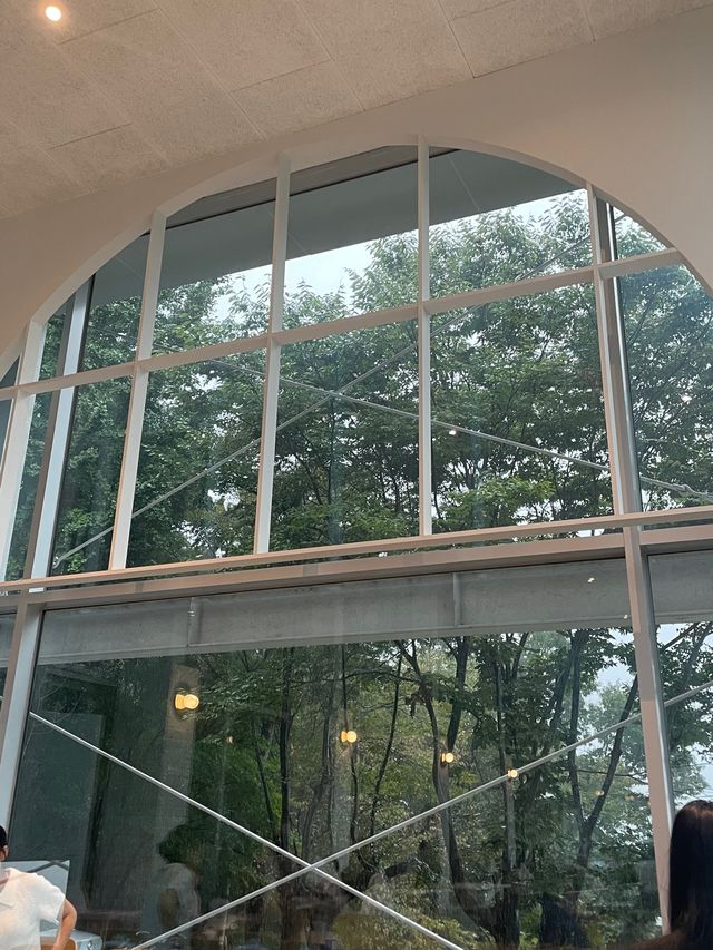 뷰 좋은 대전 카페 대청호 드라이브 롤라