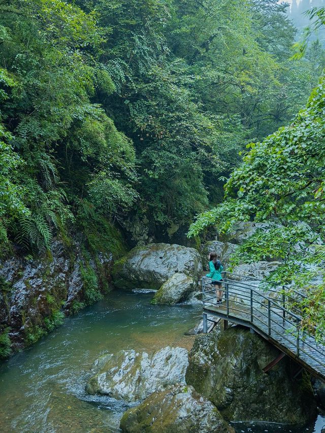 龍蒼溝國家級森林公園徒步隨手拍|戶外女孩森林徒步之旅