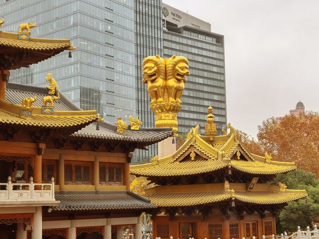 到上海不去逛逛全球最貴的寺廟，很難弄懂上海