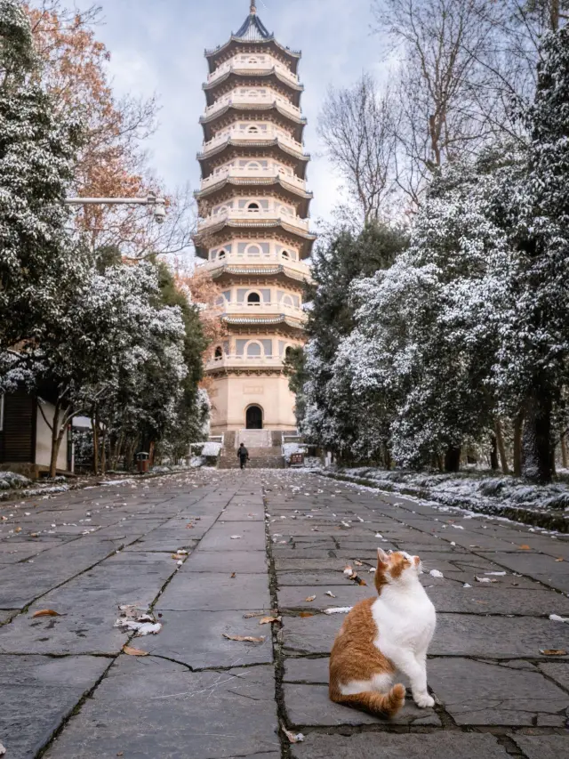 Nanjing becomes a ink-wash painting after the snow