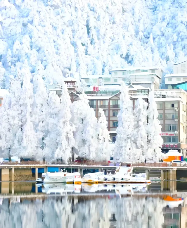 The winter in a corner of Hubei is too beautiful!!!