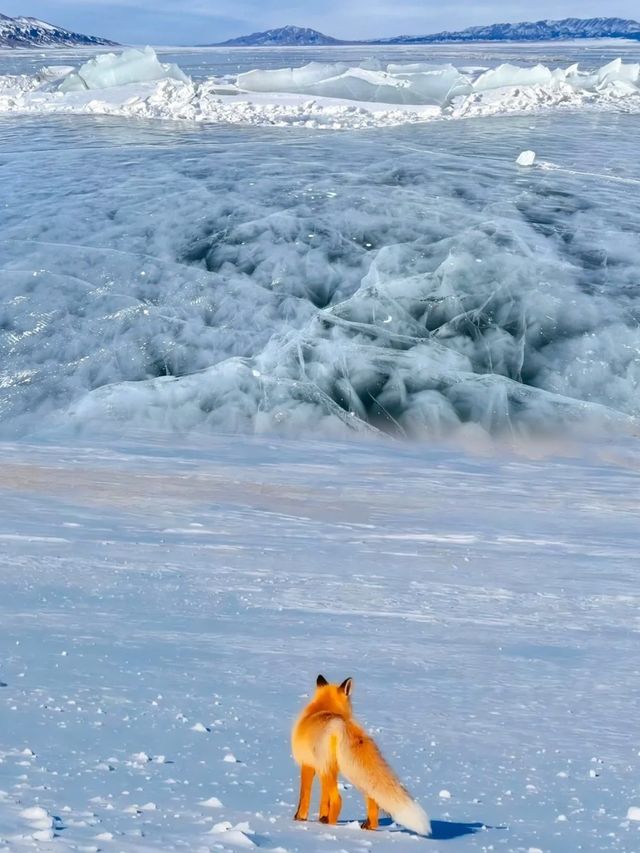 彷彿世界盡頭！不用去冰島、貝加爾湖！