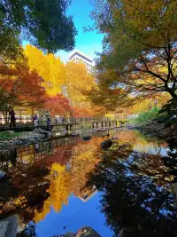 不是在京都，而是在魔都上海市中心